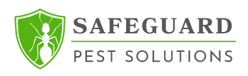 Spider Control in Muskegon | Safeguard Pest Solutions